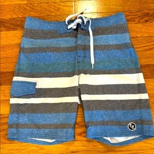 Ezekiel Blue and Gray Striped Shorts